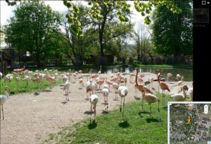 Pražská ZOO v Google Street View