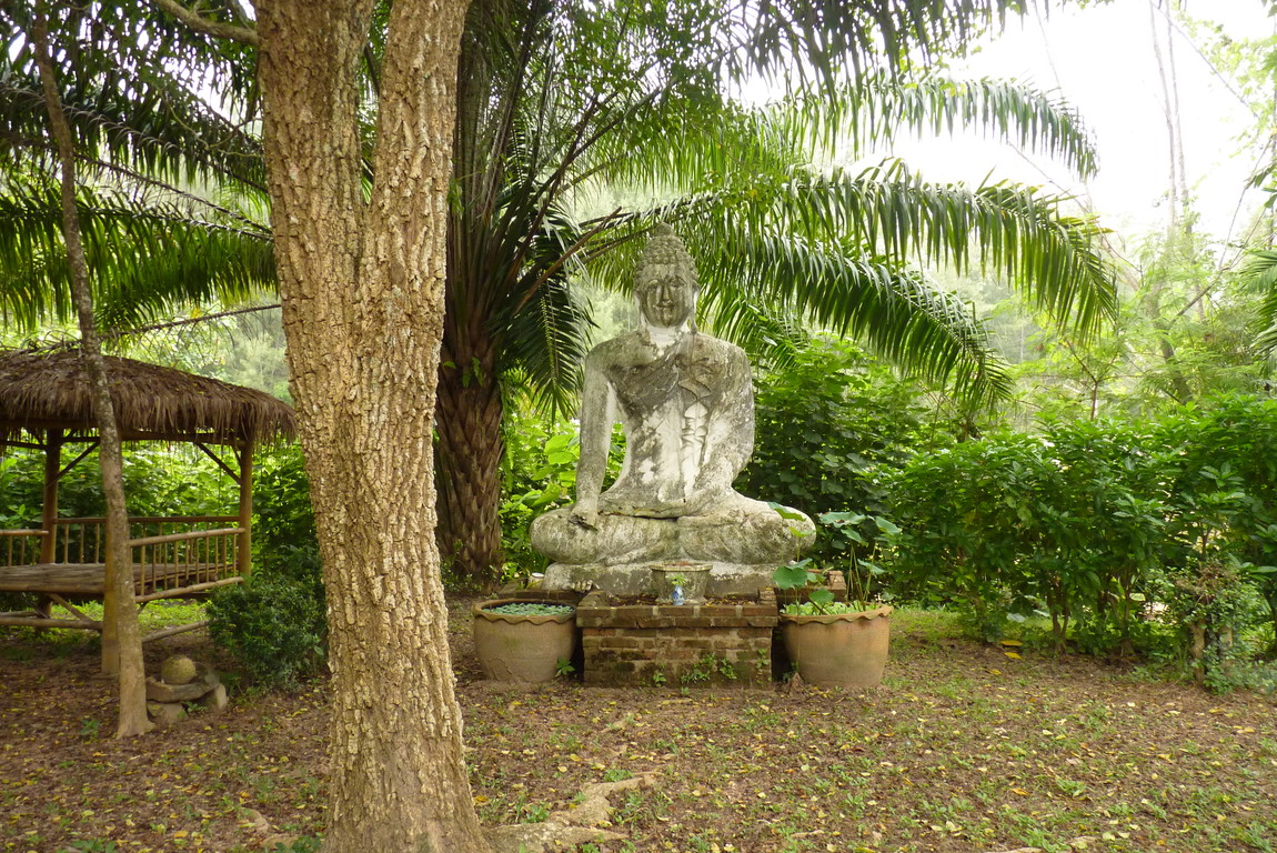 KoHub - Budha